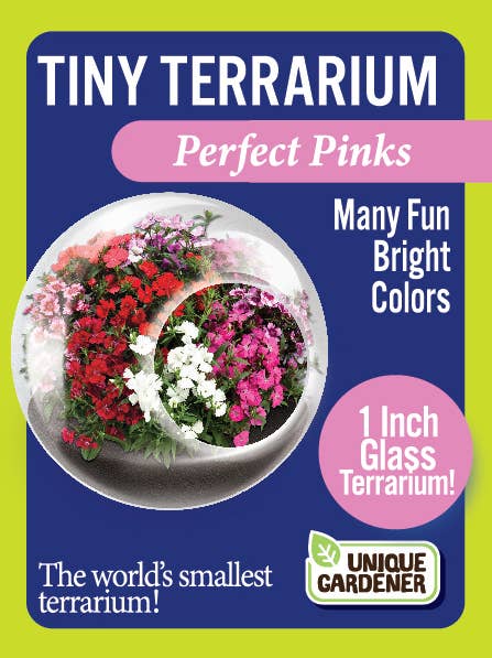 Silver Circle Products - Wholesale Retailer Display - Home & Living - Tiny Terrariums Flowering Counter Display with 6 Varieties3