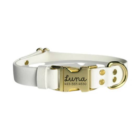 White Biothane® Dog Collar for wholesale by Duke & Fox