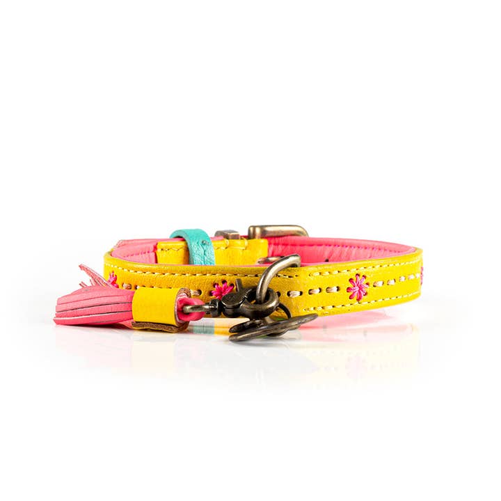 Dog with a Mission - Wholesale Pet Collar - Dog - Collar Urban JESSY8