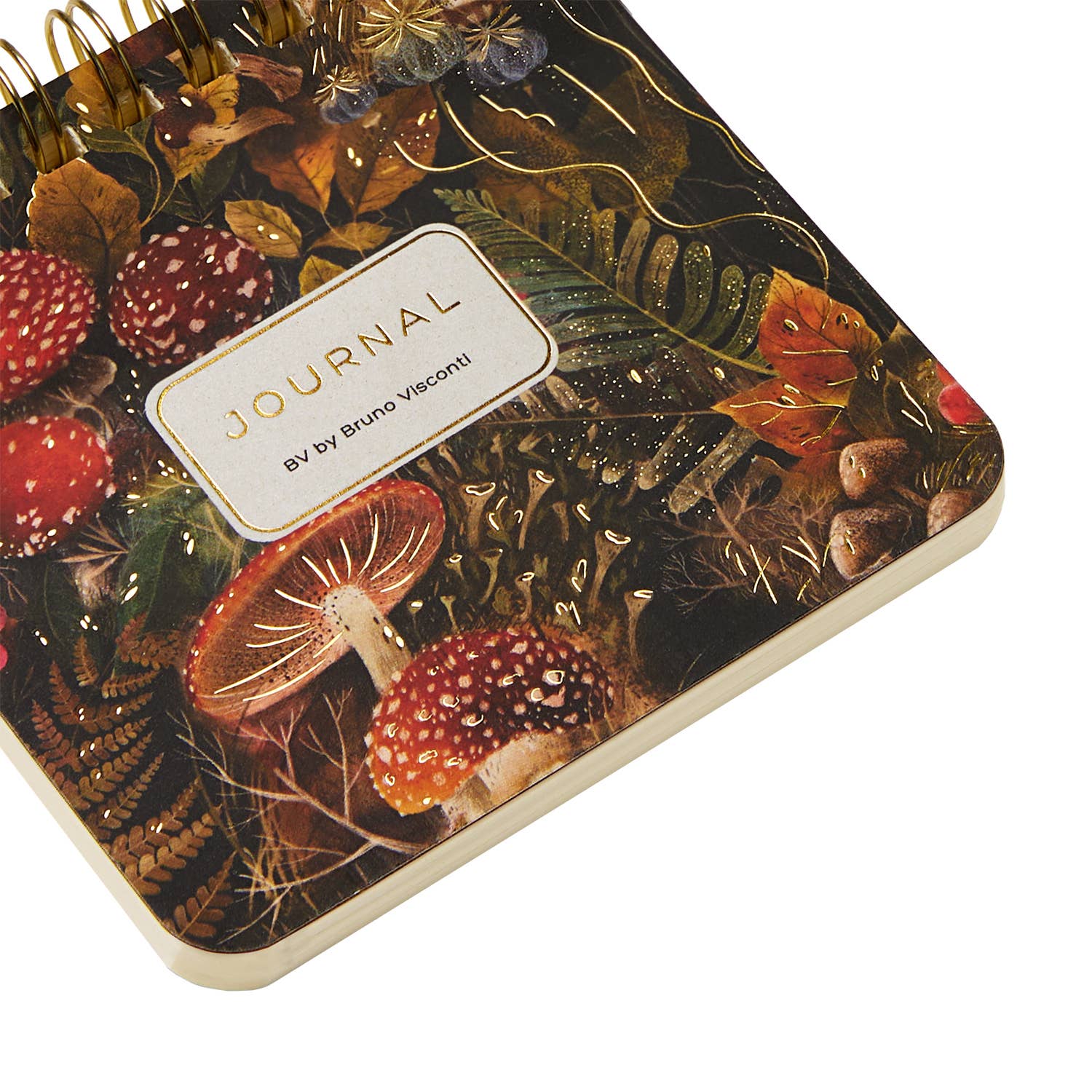 BV by Bruno Visconti - Wholesale Notepad - Pocket Art Journal  - Forest Mushrooms3
