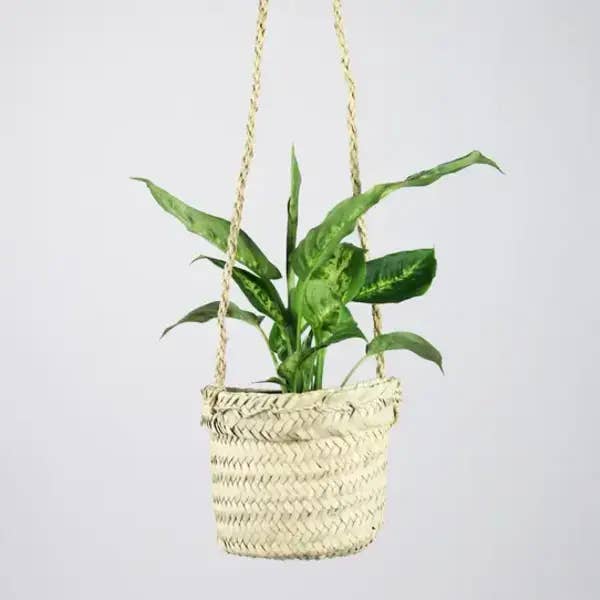 🌿 Straw Plant Hanger – Handwoven Palm Leaf (24" Drop) for wholesale by High crafty