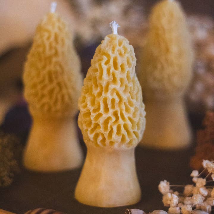The Ramblin' Bee - Wholesale Novelty Candle - Morel Mushroom Beeswax Candle