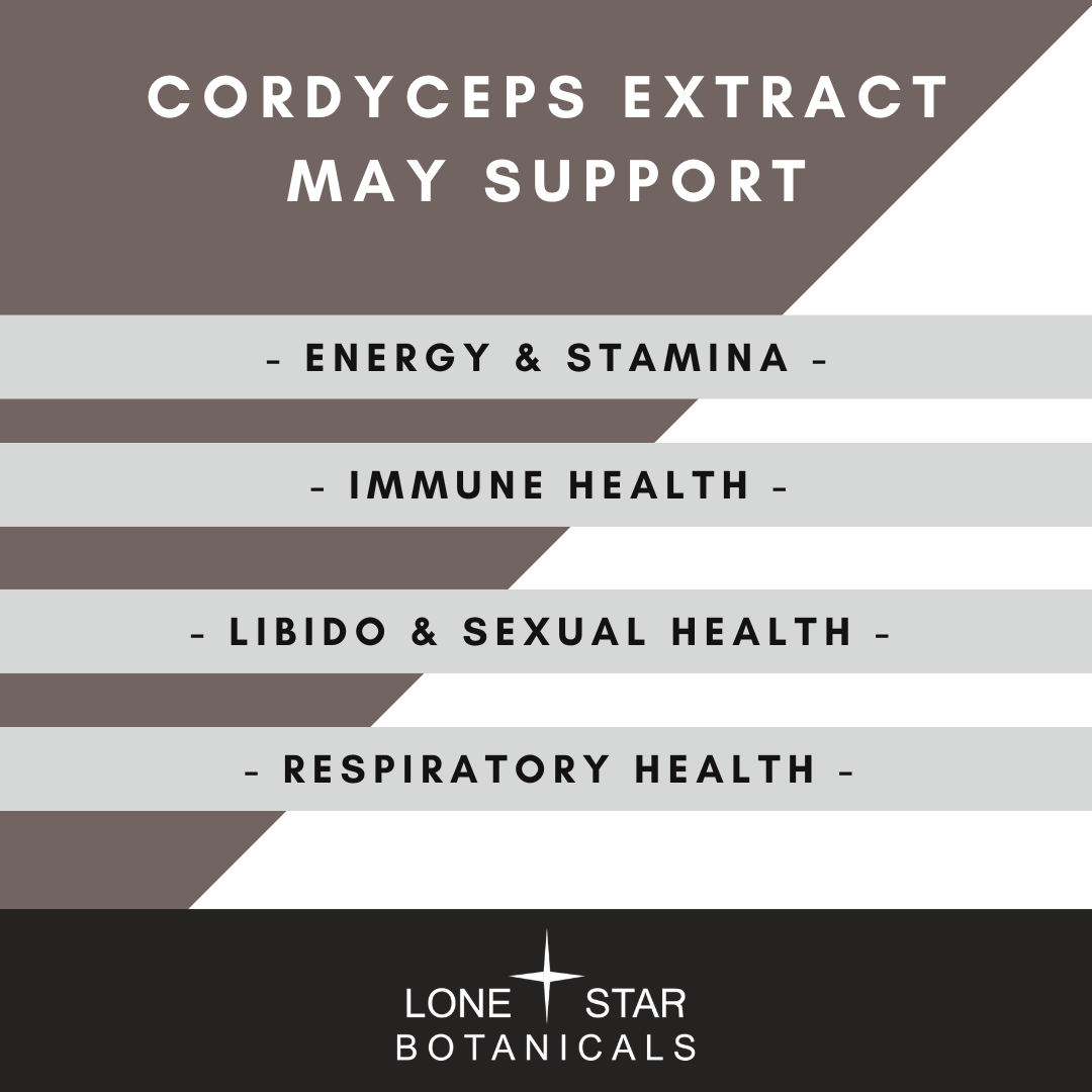 Lone Star Botanicals – wholesale Protein/superfood powder – Organic Cordyceps Mushroom Extract Powder -- 3.52 oz3