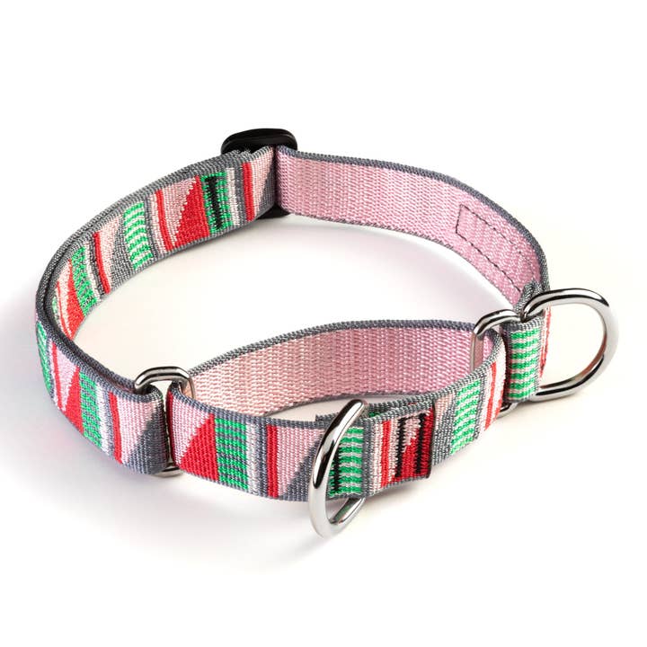 LUWELLO, LLC - Wholesale Pet Collar - Dog - Classic Martingale Training Collar 1''1