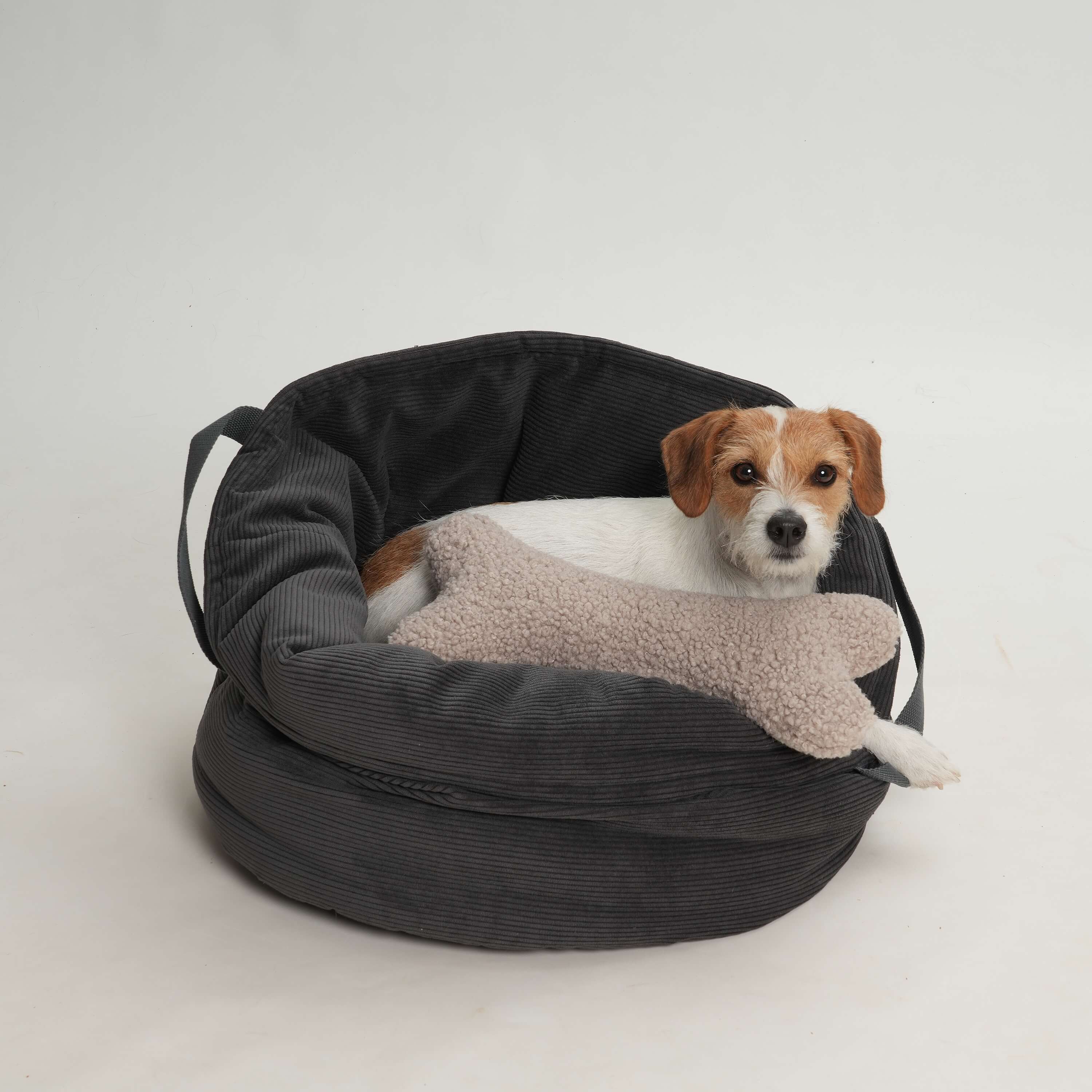 DOGS in the CITY® - Vente Caisse de transport – chat et chien - Panier pour chien Shopper Little Basket Chelsea Cord Graphite2