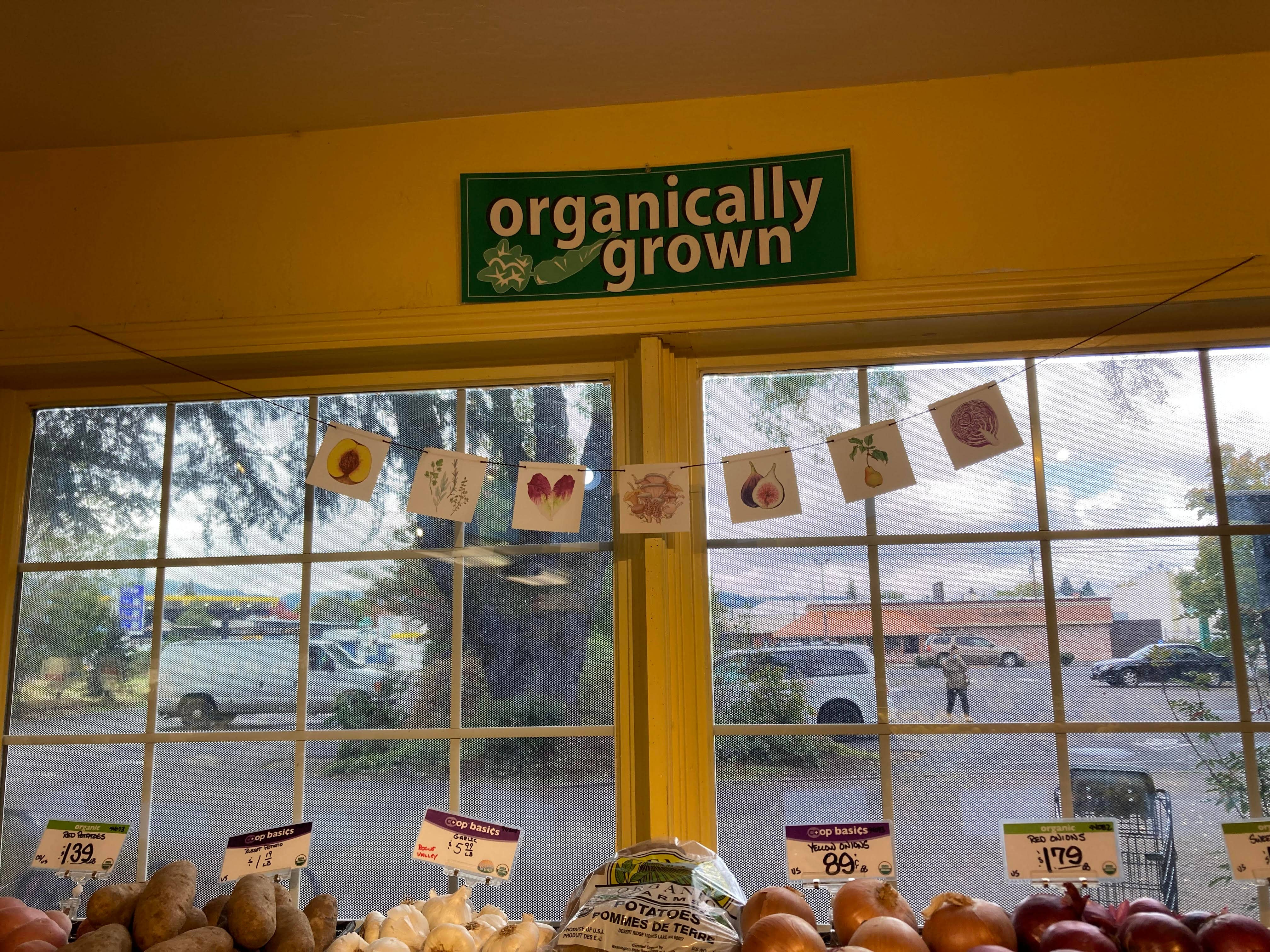 Plant Posse – wholesale Banner – Produce Prayer Flag33