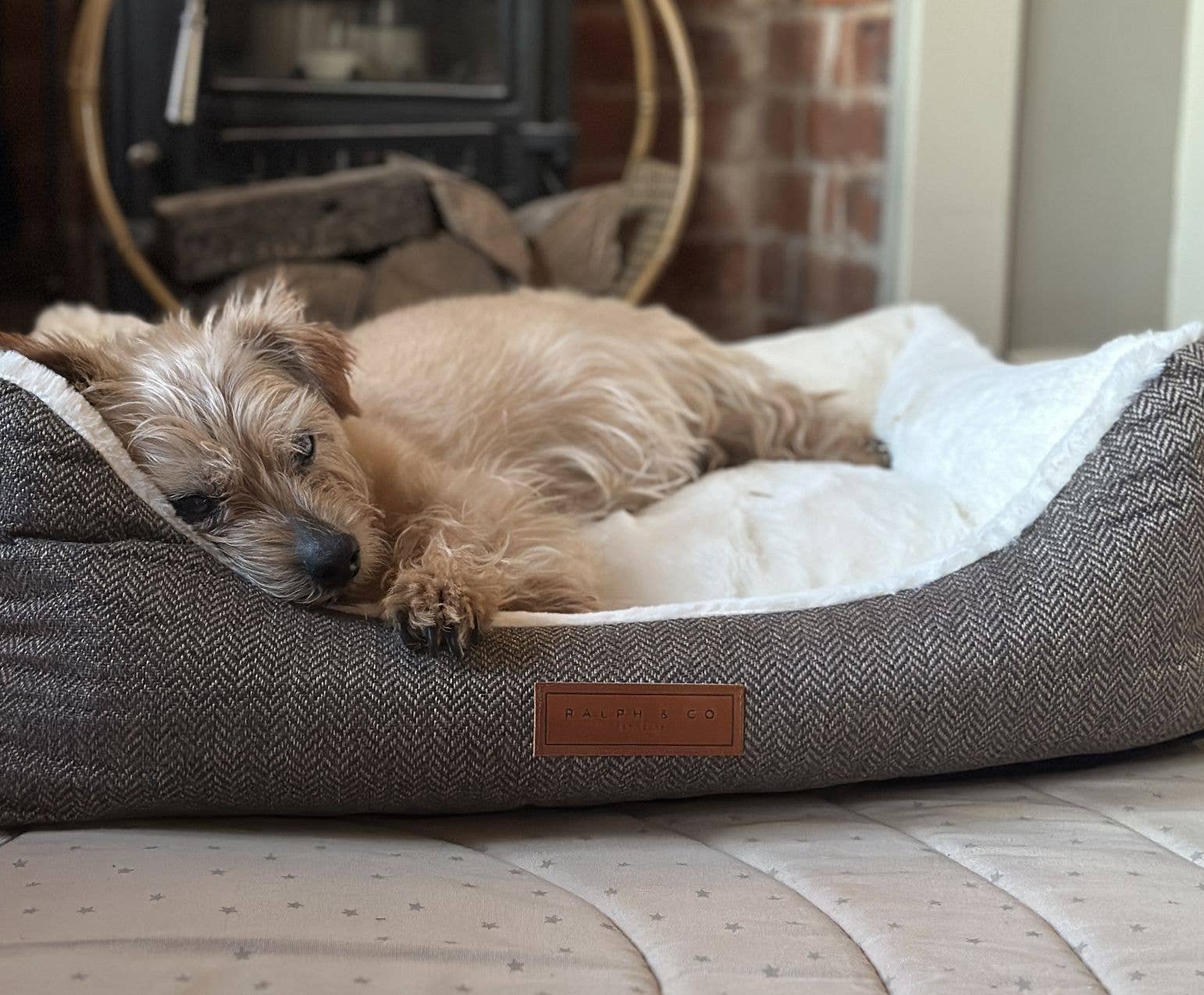 Ralph & Co – wholesale Pet bed – Dog – Luxury Tweed Dog Bed With Removable Covers | Lincoln13