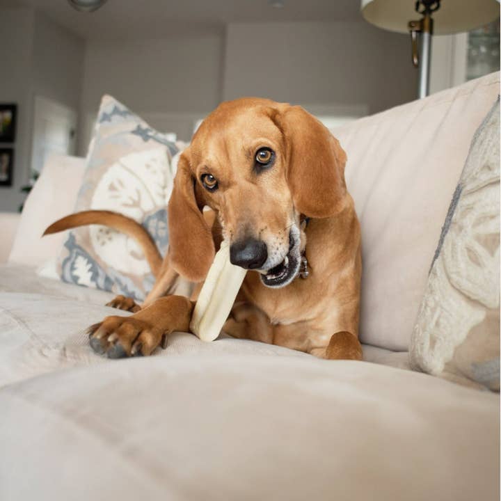 moo dog chews - Wholesale Pet Treats - Dog - Moo dog chews4