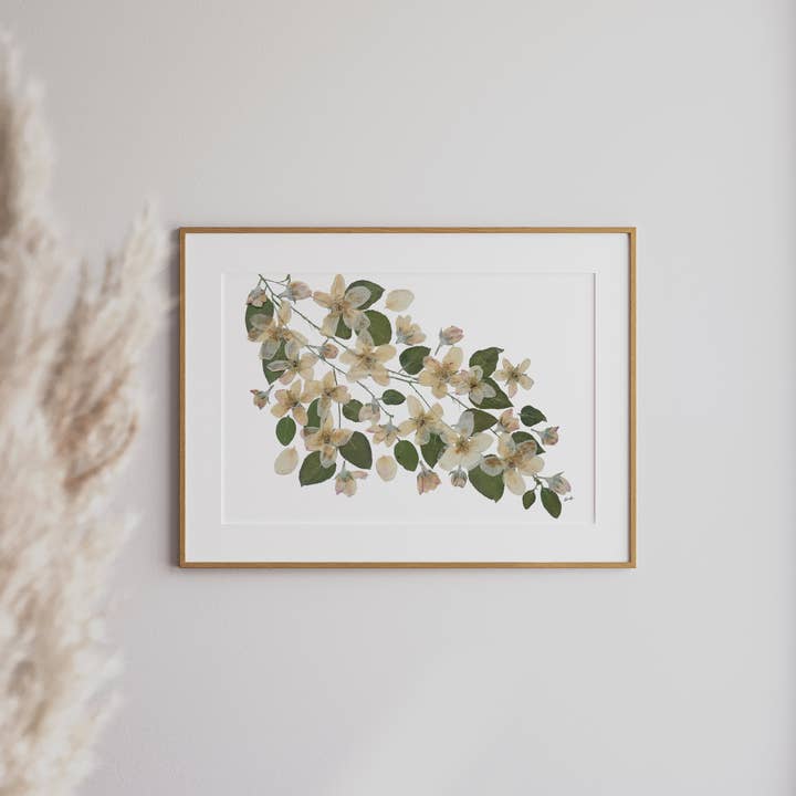 Apple Blossom Branch, Pressed Flower Art Print for wholesale by Seek & Bloom Creative Co.