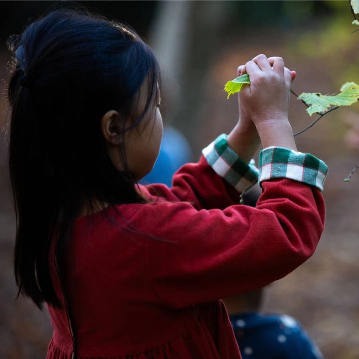Hazelnut Day After Day Reversible Corduroy Pocket Dress for wholesale on Faire10