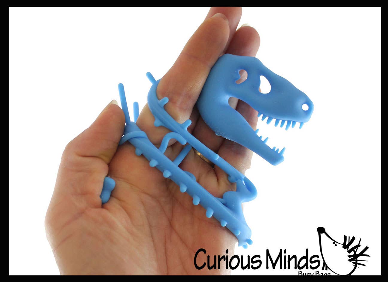 Curious Minds Toys – Großhandel Fidget Toy – Kinder – 1 x dehnbares Nudelband mit Dinosaurierskelett und fossilem Knochen3