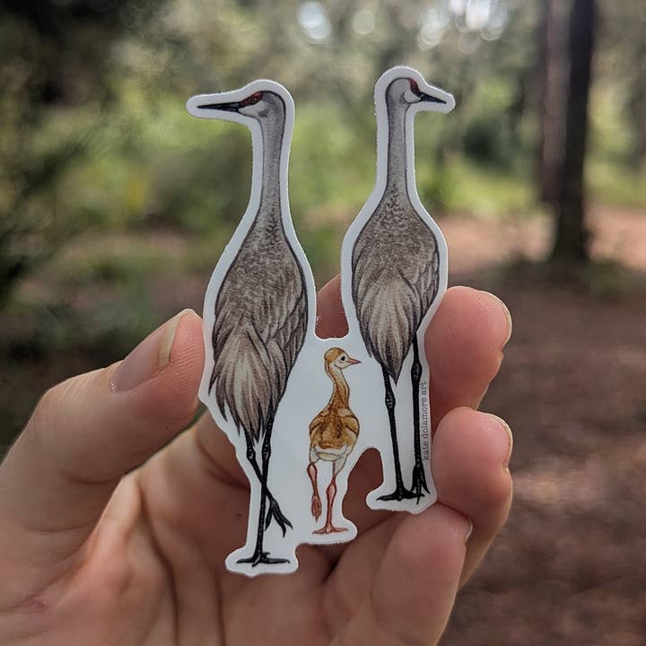 Kate Dolamore Art - Wholesale Sticker - Sandhill Crane Family Vinyl Bird Sticker1