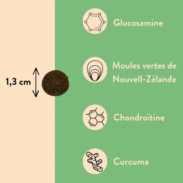 Hello Jack - Wholesale Pet Supplement - Dog - Move - Supplement for canine joints5