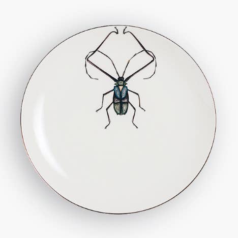 PLATO POSTRE ESCARABAJO ARLEQUÍN para venta al por mayor de MiCuit ilustracion