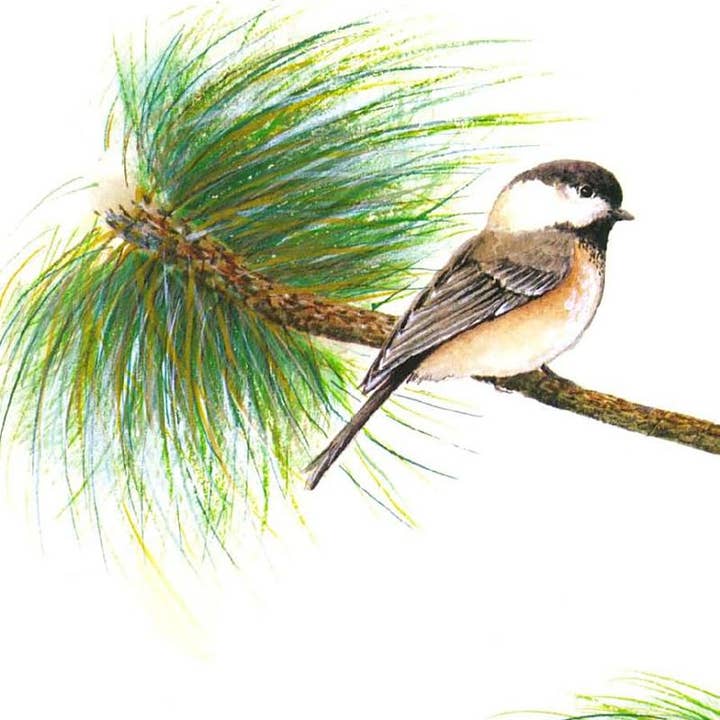 REMOVED BRAND - Wholesale Preschool Book (3-5) - ABC's of Maine7