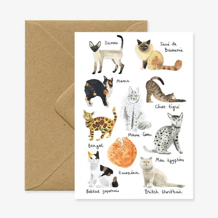 Tarjeta A6 doble Gatos para venta al por mayor de Marina Vandel