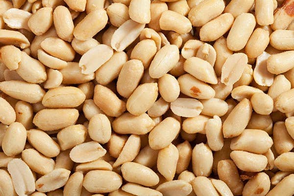 Hudson Meat Company - Wholesale Nuts - PEANUTS BLANCH ROASTED NO SALT     -     BULK PACK0