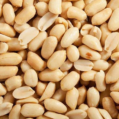 Hudson Meat Company - Wholesale Nuts - PEANUTS BLANCH ROASTED NO SALT - BULK PACK