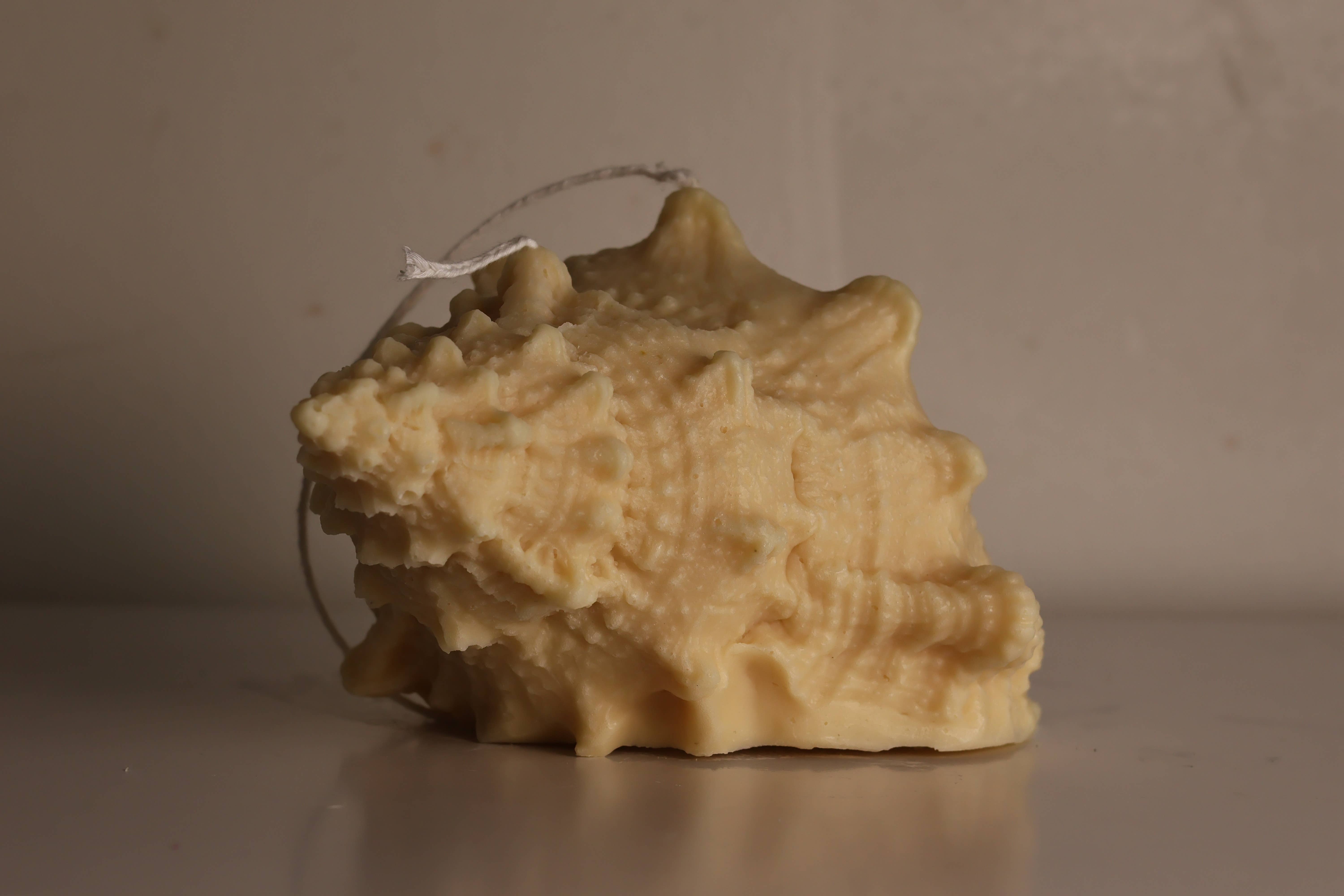 Agaboo Candle – Großhandel Geschenkkerze – Riesige natürliche Muschelkerze 4x7x5in6