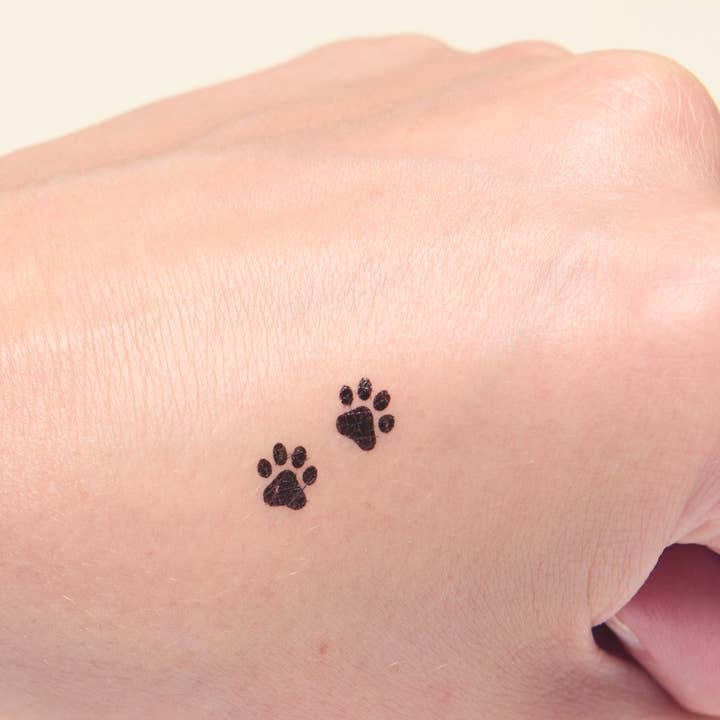 Ashley Hay Design – Engroshandel Eyeliner – Makeup Paw Print Stempel og Eyeliner