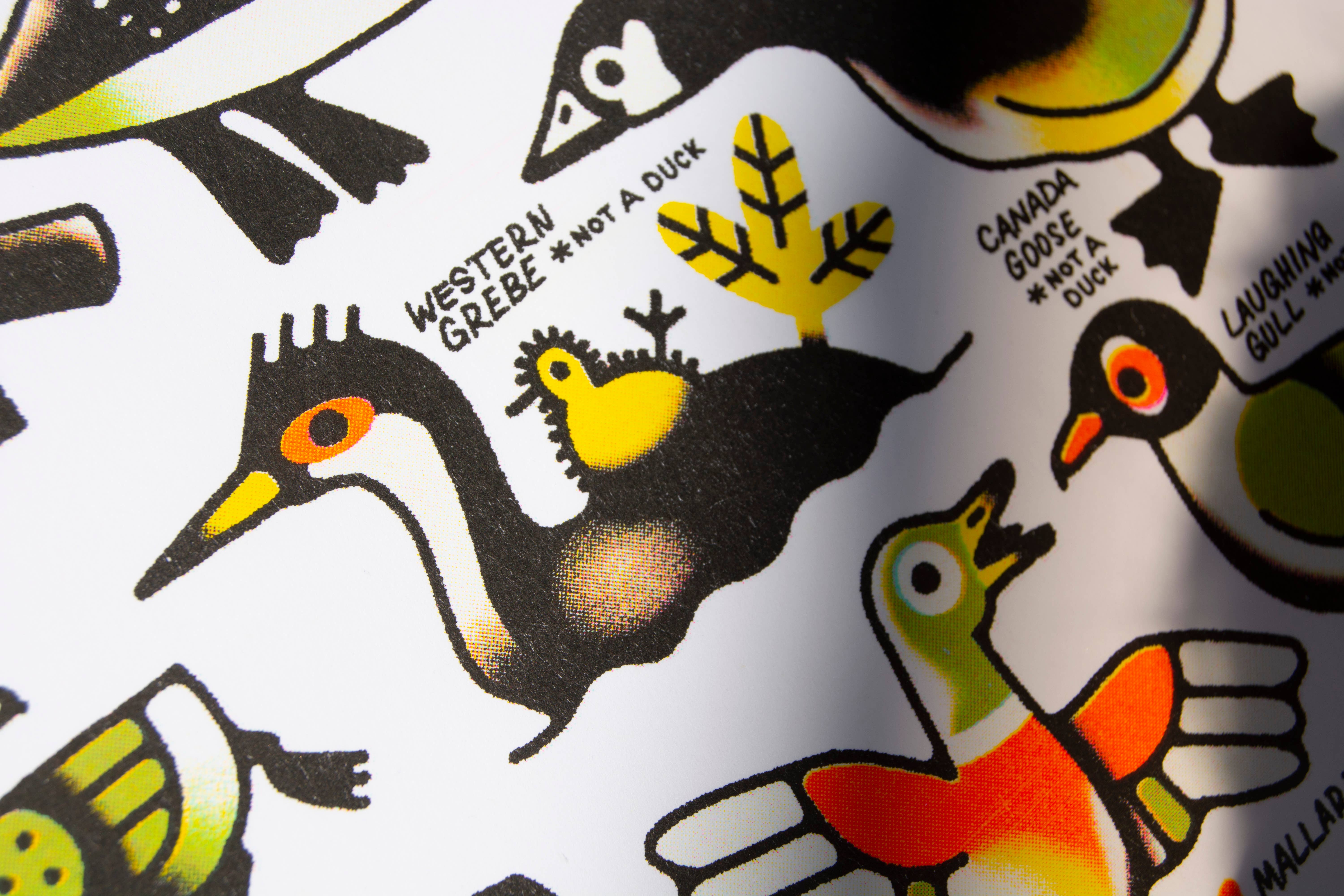 Curlworks – wholesale Art print – Ducks (not a duck) - 8x10" Risograph Print3