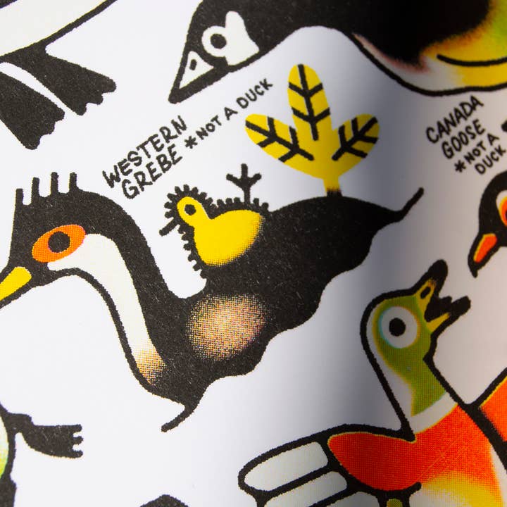 Curlworks - Vente Affiche d'art - Des canards (pas un canard) - Impression risographique de 8 x 10 pouces3