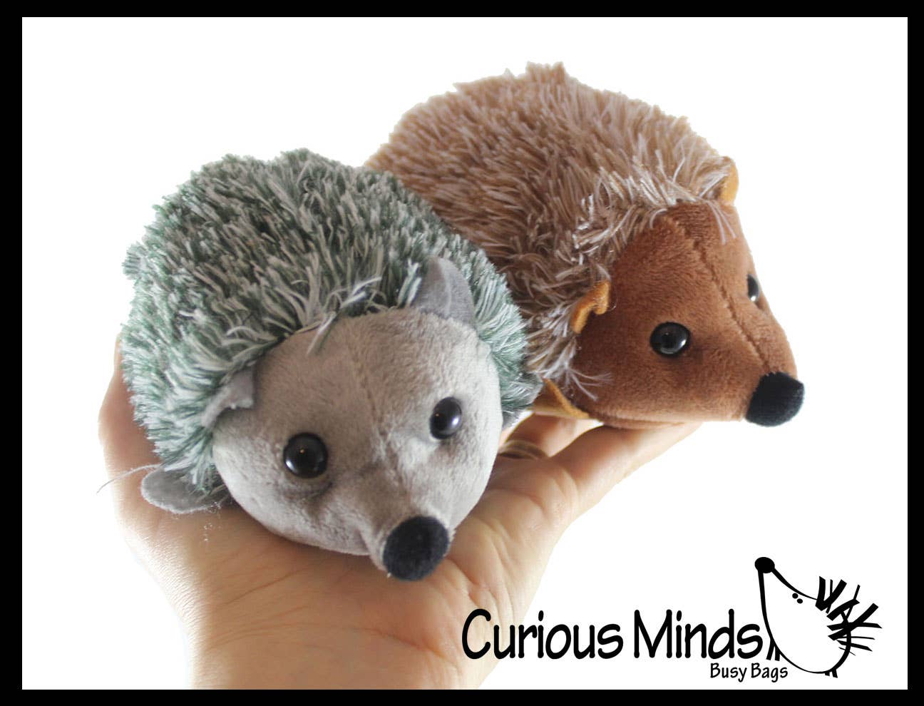 Curious Minds Toys - Vendita all'ingrosso Peluche - Bambini e neonati - 1 Peluche Riccio - Giocattolo Morbido e Adorabile1