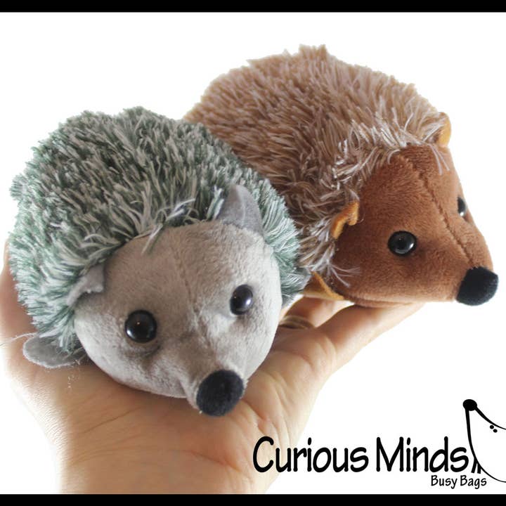 Curious Minds Toys - Vendita all'ingrosso Peluche - Bambini e neonati - 1 Peluche Riccio - Giocattolo Morbido e Adorabile1
