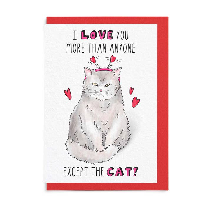 Sketchy Print Co - Wholesale Valentine's Day Card - Funny Valentines Day Card For Cat People - Grumpy Cat
