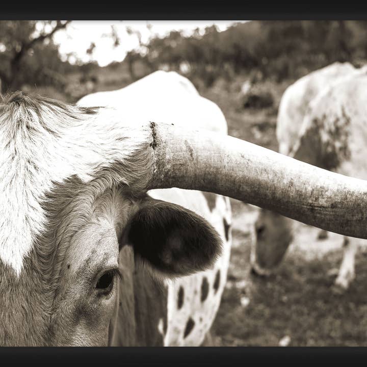 Cornerstone Décoration murale encadrée 45,7 x 20" pour la vente par PTM Images