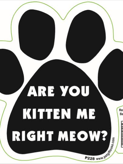 Aimants de patte Es-tu Kitten Me Right Miaow ? Aimant de voiture pour la vente par Pet Gifts USA, LLC