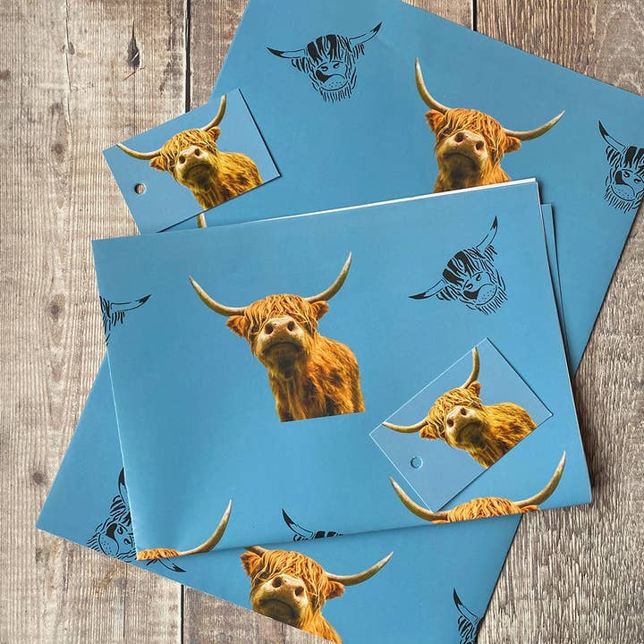 Alex Sharp – Engroshandel Gavepapir – Highland Cow gaveindpakning og tag sæt - blå highland ko papir