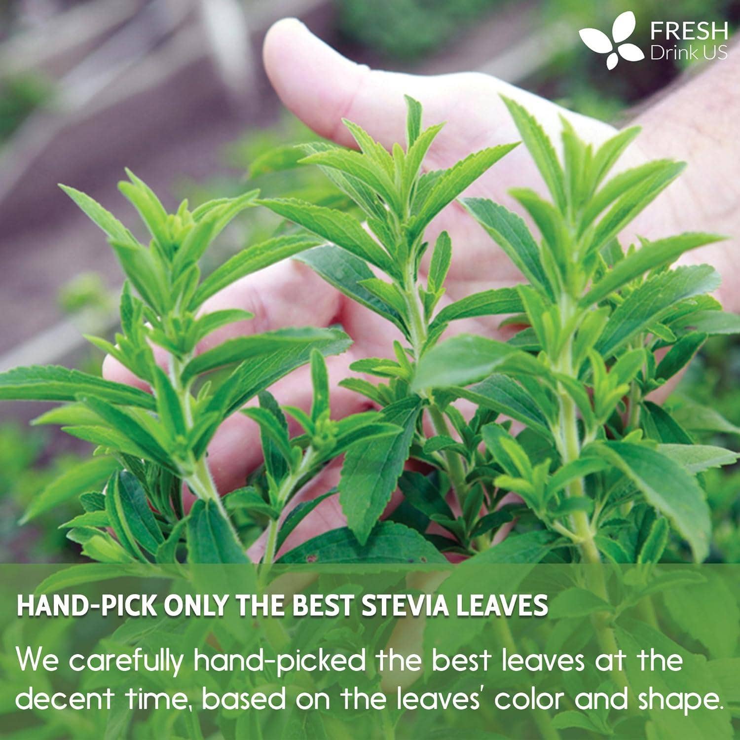 Naomi's Happy Place Shop - Wholesale Health/Detox Tea - Stevia Leaf, Whole Dried Leaves, Tea Bags, Powder, 100% Natural and Pure from Stevia Leaves. Sugar Substitute for Tea, Coffee. Loose Leaf Stevia Herbal Tea. Zero Calorie Sweetener. No Sugar, No Caffeine, No Gluten, Vegan.16