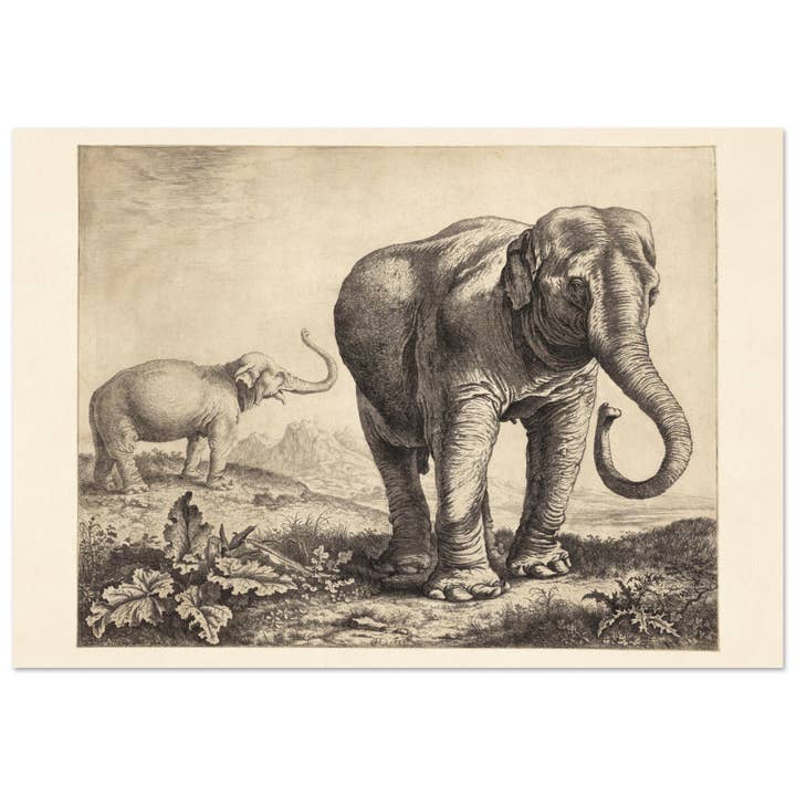 Two elephants for wholesale by Maison de Paloma