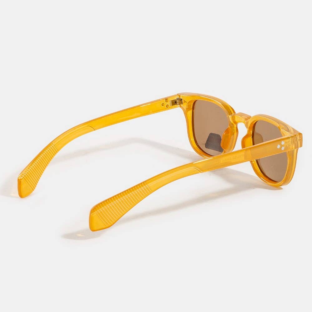 ASSORTED Acetate Frame Polarized Sunglasses Set for wholesale on Faire3