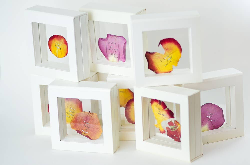 Resolute Star - Vente Cadres photos - Boîte d'exposition Shadowbox blanche 14 x 14 cm avec fermeture magnétique3