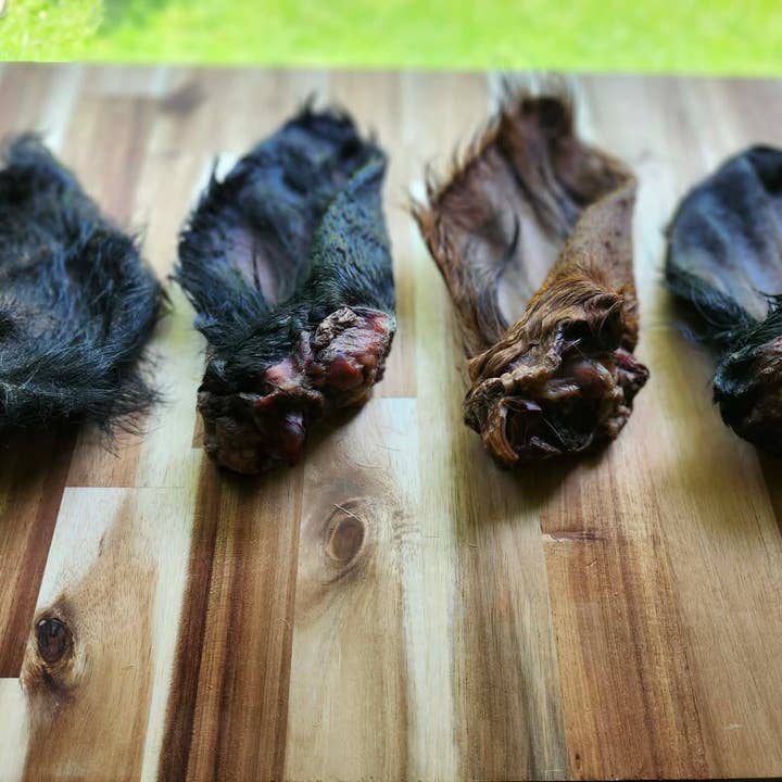 Hairy Cow Ear-Dog Chew for wholesale by Thriving K-9 Collective