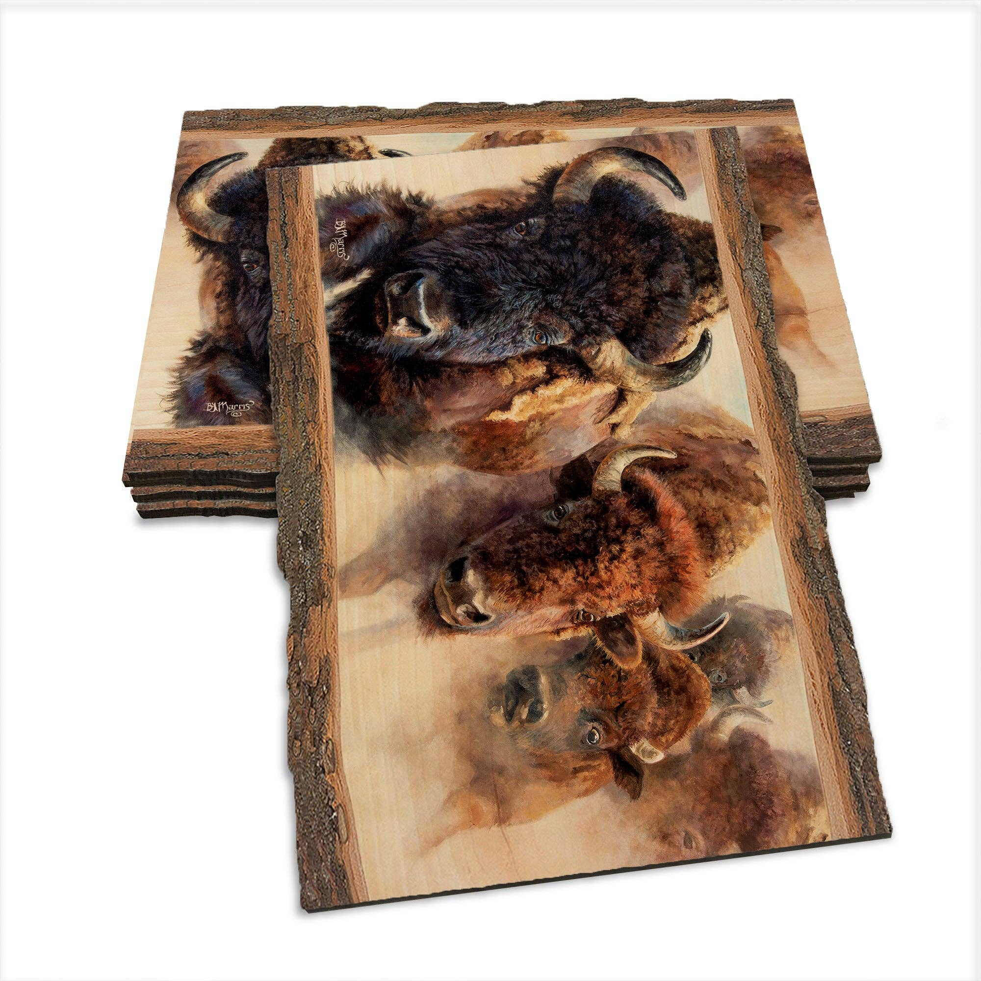 DaydreamHQ - Wholesale Postcard - Marris' The Stampede - Live Edge0