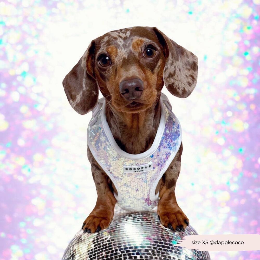 Cocopup London - Vendita all'ingrosso Pettorina - Cani - Imbracatura LUXE Party con Paillettes Olografiche12