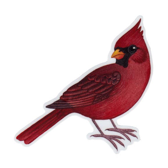 Northern Cardinal (Male) Vinyl Bird Sticker for wholesale by Kate Dolamore Art
