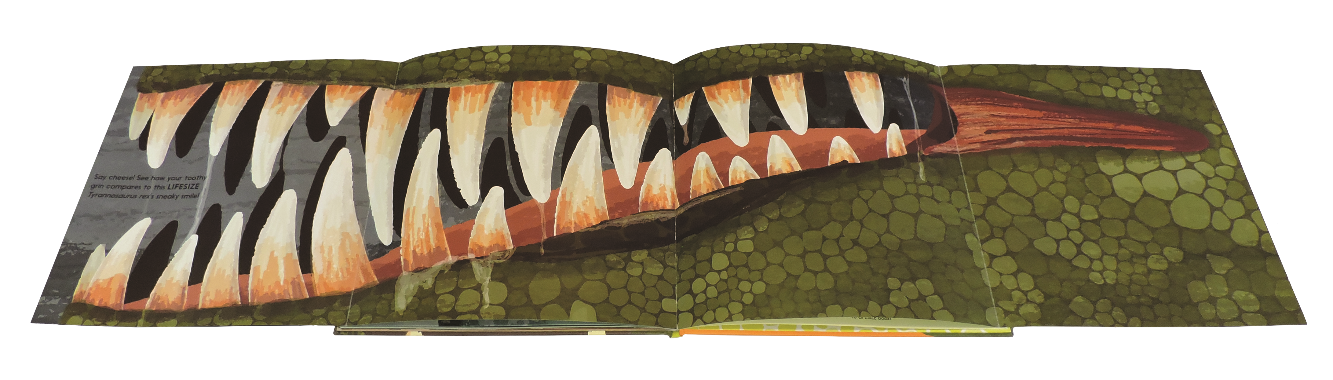 EDC Publishing - Wholesale Book - Kids - Lifesize Dinosaurs2