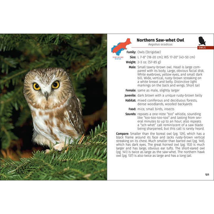 AdventureKEEN - Wholesale Nature & Outdoors - Birds of Prey of the Northeast Field Guide 2nd Edition10