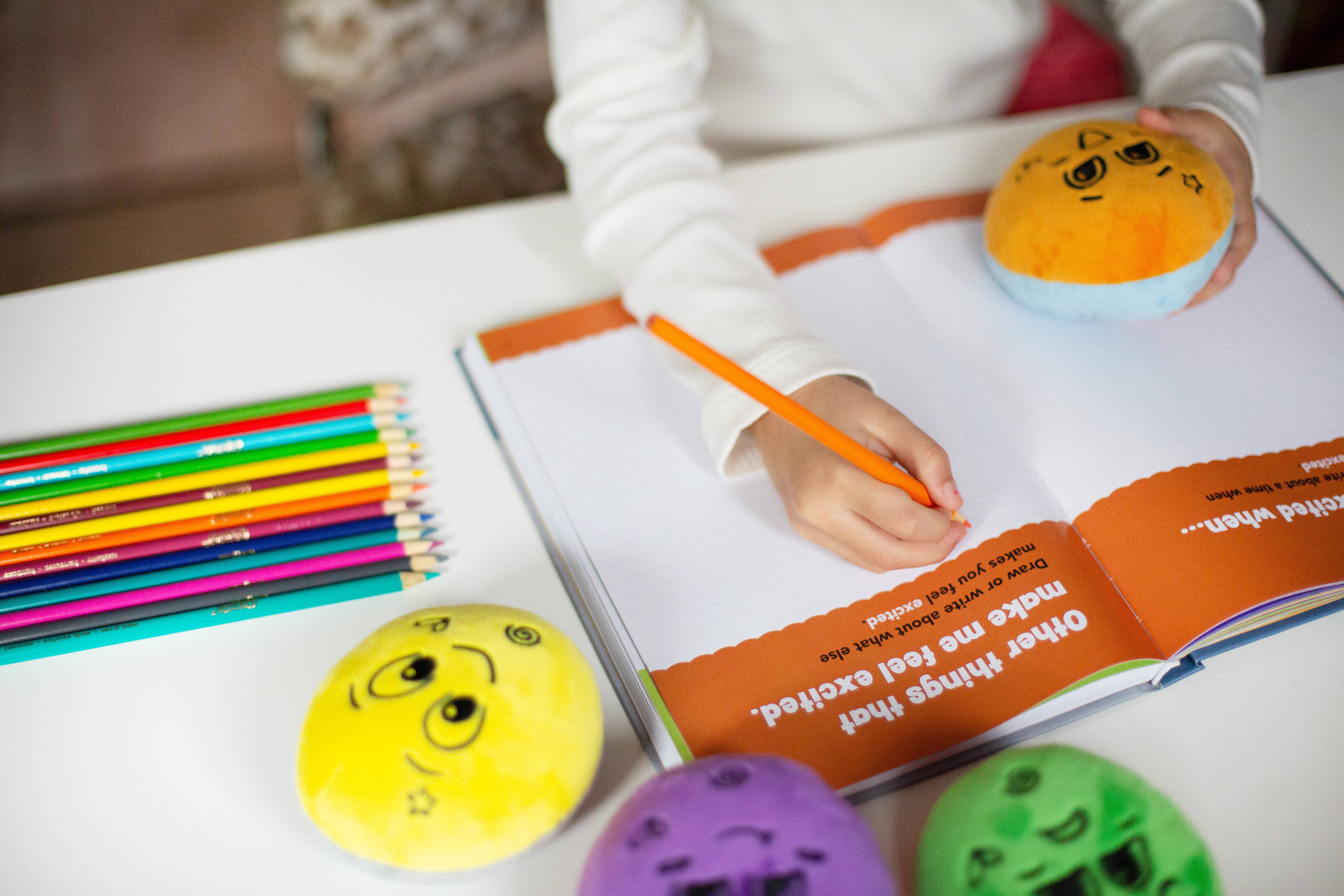 FeelLinks - Wholesale Journal/Diary - Kids - FeelLinks Emotion Set | SEL Tools & Feelings Journal16