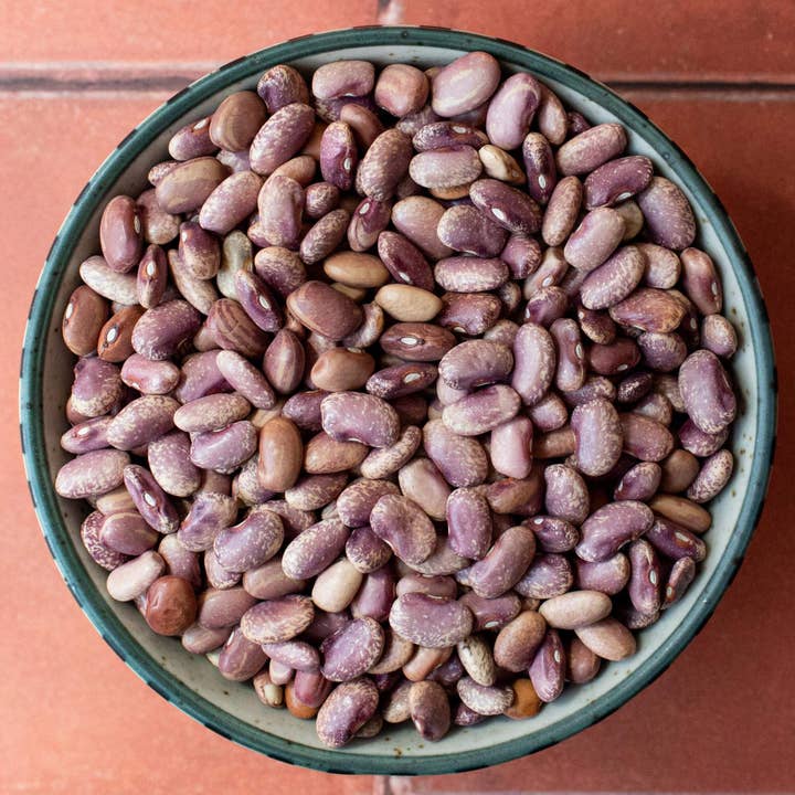 Primary Beans - Wholesale Beans - Flor de Mayo beans (organic)