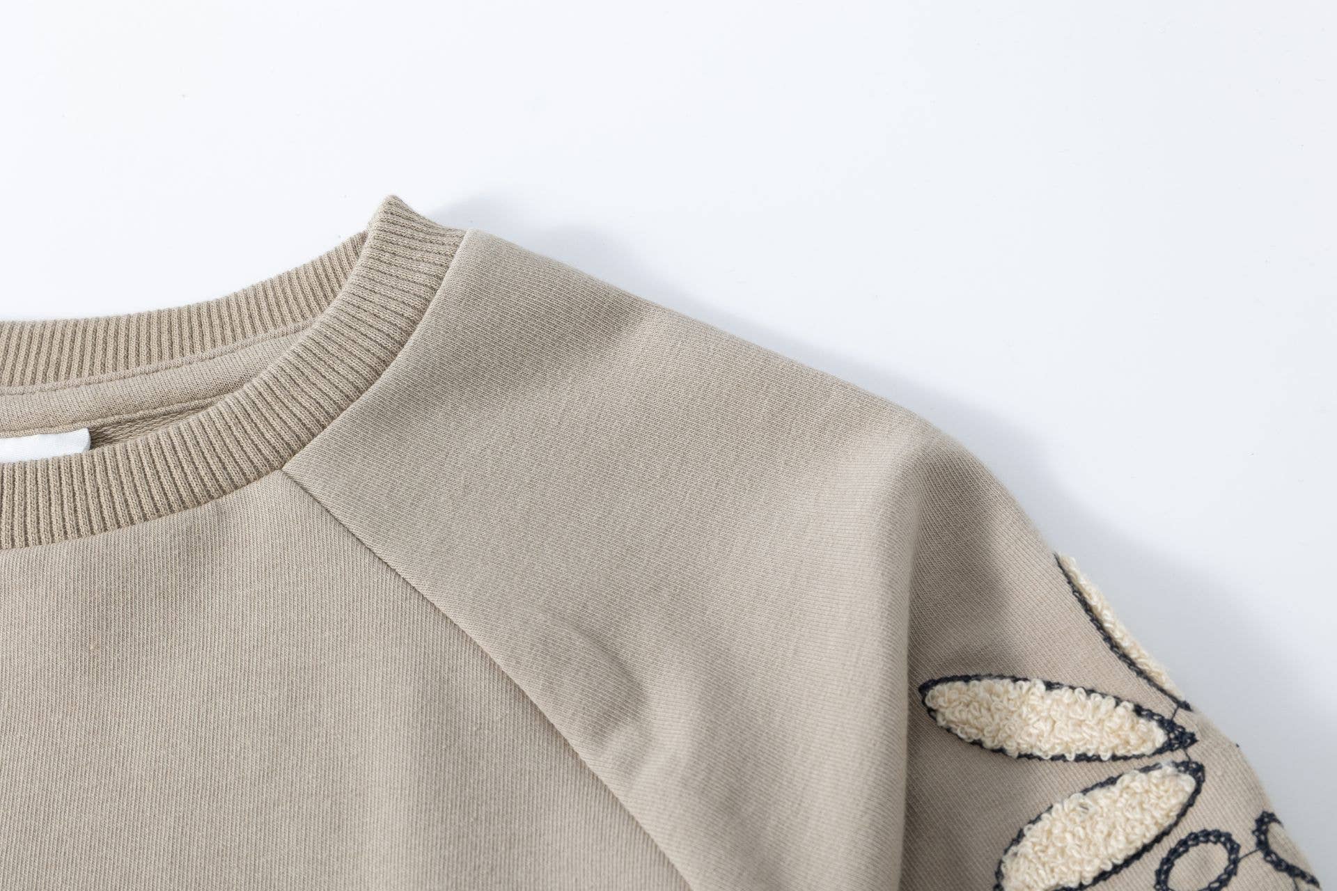 Newness Kids – wholesale Sweatshirt - Kids – Raglan sleeve sweatshirt winter clothing girl JGI657883