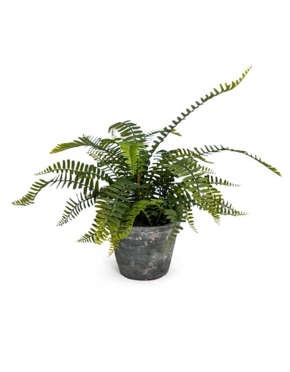 McGowan & Rutherford Ltd - Wholesale Artificial plant - Ornamental Potted Fern Plant in Concrete Pot0