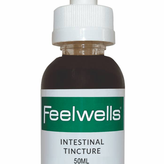 Feelwells Intestinal Tincture (Natural Wormer) 50ml for wholesale by Feelwells
