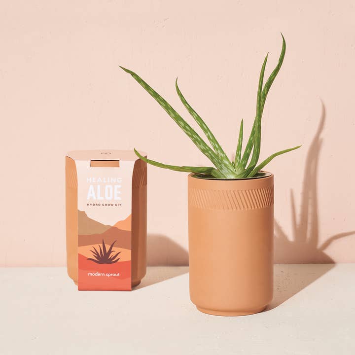 Modern Sprout - Wholesale Plant Seeds - Terracotta Grow Kit