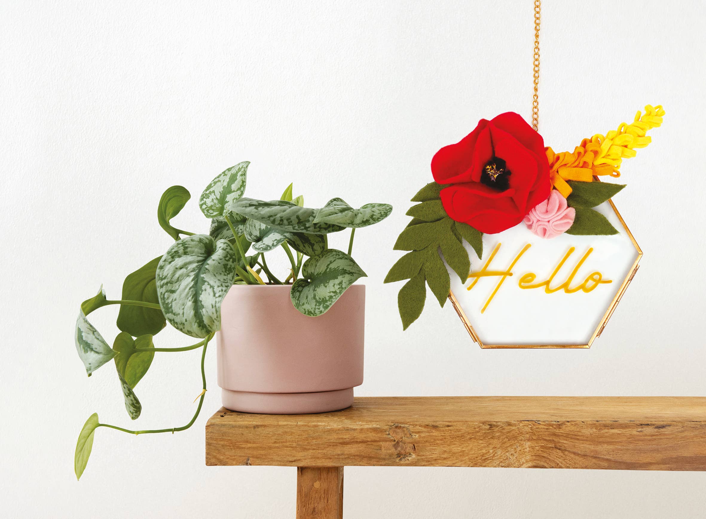 Graine Créative - Vente Kit de bricolage - KIT DIY DECO CADRE FLEURI7