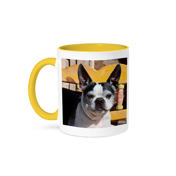 3dRose - Wholesale Coffee Mug - 3dRose, A Boston Terrier dog on a painted bench - US32 ZMU0007 - Zandria Muench Beraldo, Mug